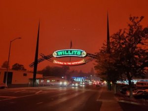 Willits.jpg