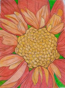 1st Floral Coloring .jpg