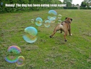 A06CC2F4-B628-41F1-BBC9-EB852A59E7CE.jpeg