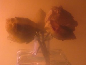 4ED43396-3C2C-4A79-96C1-1D998852F3E0.jpeg