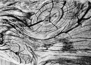 3726E36B-57AB-4FED-9F0F-84078F318E4E_1_201_a.jpeg