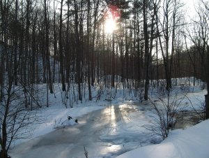 Creek Jan 21 002.JPG