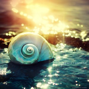 7-nature-photography-pedraterrinha.jpg
