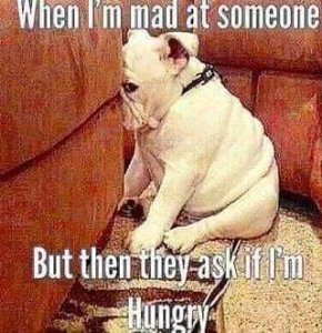 FB_IMG_15996840511337172.jpg