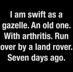 FB_IMG_15996085283681121.jpg