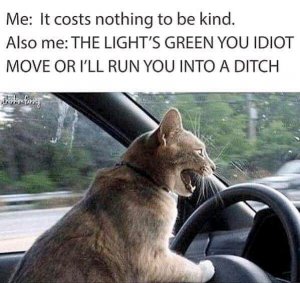 FB_IMG_15997819896082514.jpg