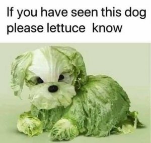 117996994_3291583734257456_8368612046872868128_n[1].jpg