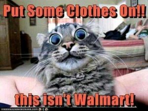 FB_IMG_15998496704072541.jpg