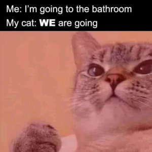 FB_IMG_15997820068506729.jpg