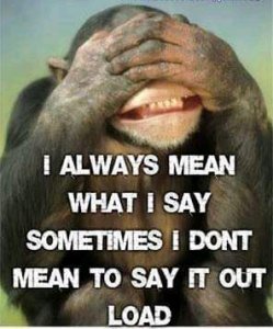 FB_IMG_15990978171082310.jpg