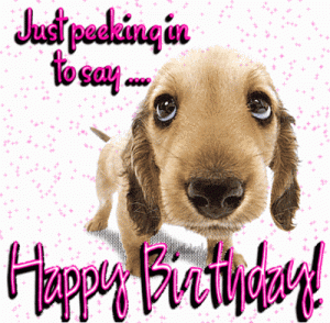 dog.gif