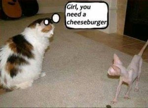 FB_IMG_15998629974786546.jpg