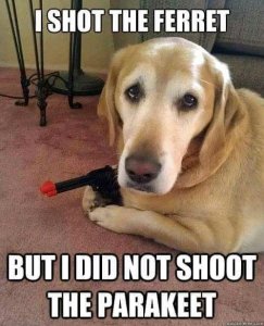 FB_IMG_15998628989995924.jpg