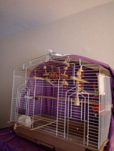scaledimagejas91120.jpg scaledimagejas91120.jpg