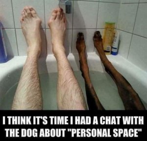 dogpersonalspace.jpg