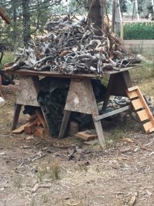 roots for winter projects.jpg