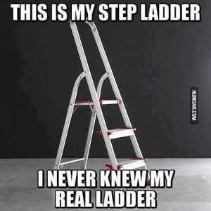 Step-Ladder.jpg