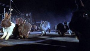 Night-of-the-Lepus-640x361.jpg