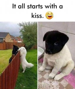 70860778_485484162183423_5925406447146893312_n[1].jpg