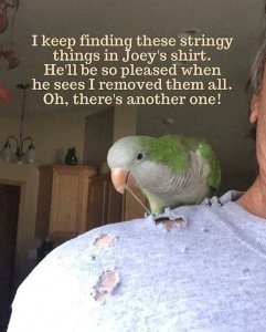 FB_IMG_15998746666383823.jpg