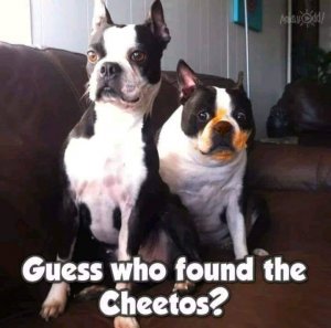 cheetos.jpg