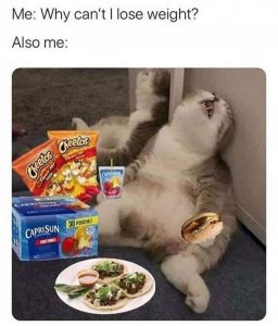 cantloseweight.jpg