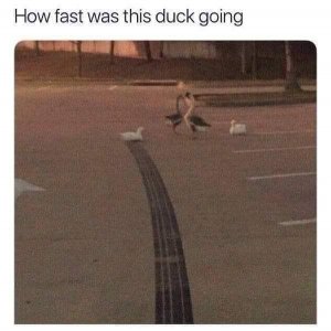 86186175_2650176731860536_2931146662183174144_n.jpg