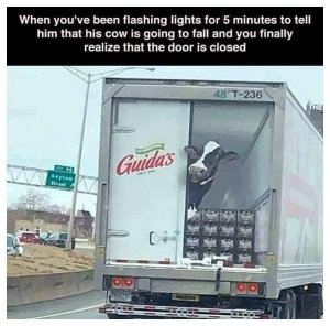 cowdoorisclosed.jpg