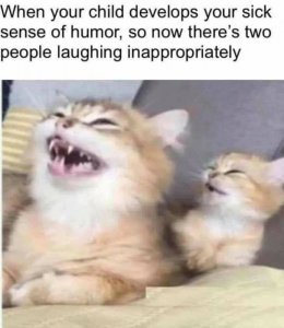 inappropsensofhumor.jpg