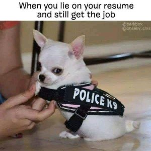 FB_IMG_16002072974626327.jpg