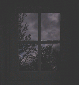 tumblr_nnpy7qVphq1tg2zoeo1_500.gif