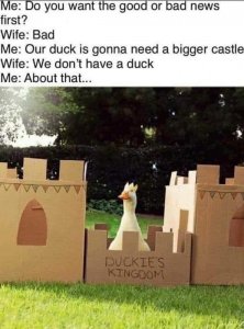 duck.jpg