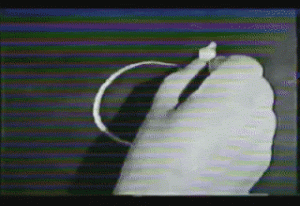 000casey1.gif