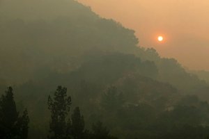 AP20258621374062.jpg