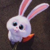 funnysunnybunny