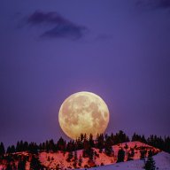 Moony