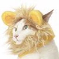 catscan