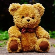 Ted51