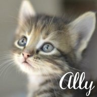 Ally