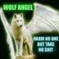 WOLF ANGEL
