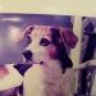 dogluvir