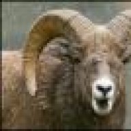 Big Horn