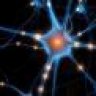 TheBrainHealthGuy