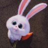 funnysunnybunny