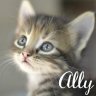 Ally