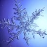 Snowbound
