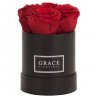 moregrace