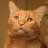 Lekatt