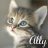 Ally