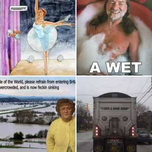 Silly, stupid and a little dirty pictures